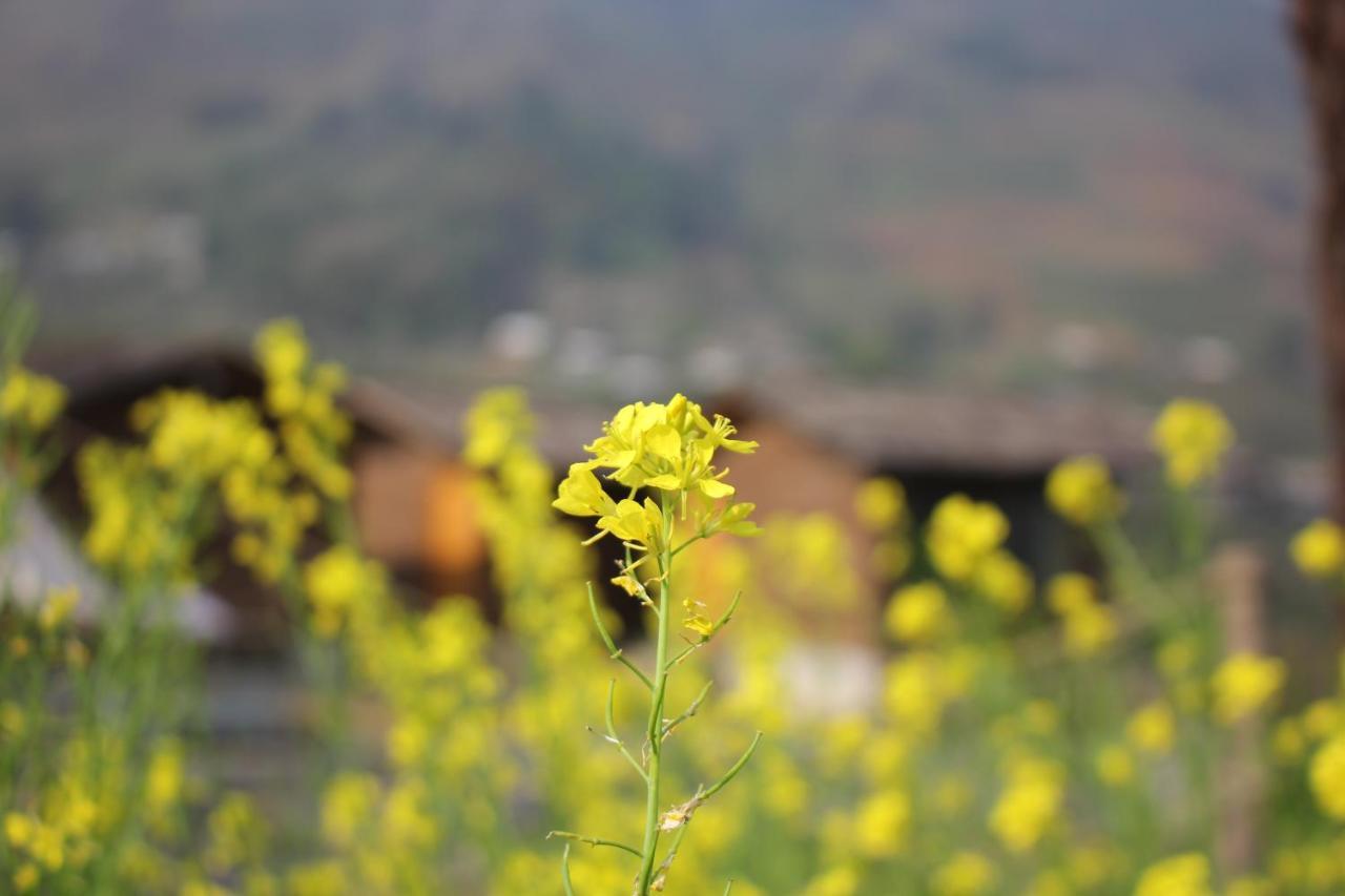 S Plus Bungalow Sapa Exterior photo